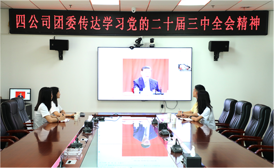 青春向黨 挺膺擔當 | 公司團員青年深入學習貫徹黨的二十屆三中全會精神、集團公司和公司系列重要會議精神