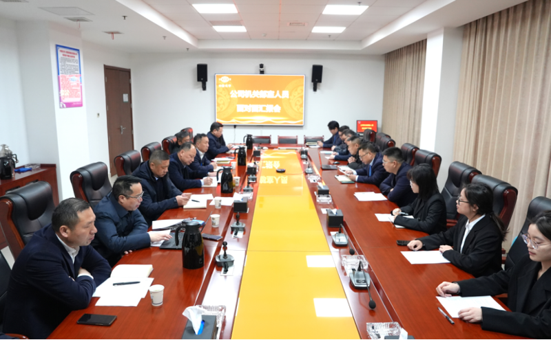 梳理問(wèn)題精準(zhǔn)把脈  深化管控助力發(fā)展 | 公司舉行2025年機(jī)關(guān)管理人員面對(duì)面匯報(bào)會(huì)