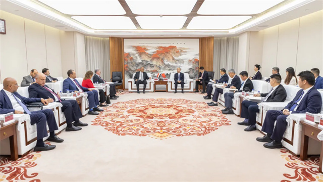 中國化學與埃及石化控股公司交流座談