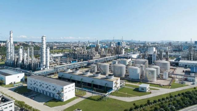 1725322329073.jpg 1725322329073.jpg